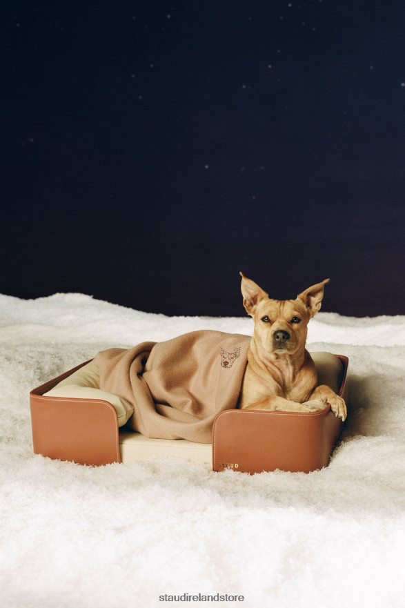 Pets Accessories Cream Tan STAUD PET BED H8RLPJ1040