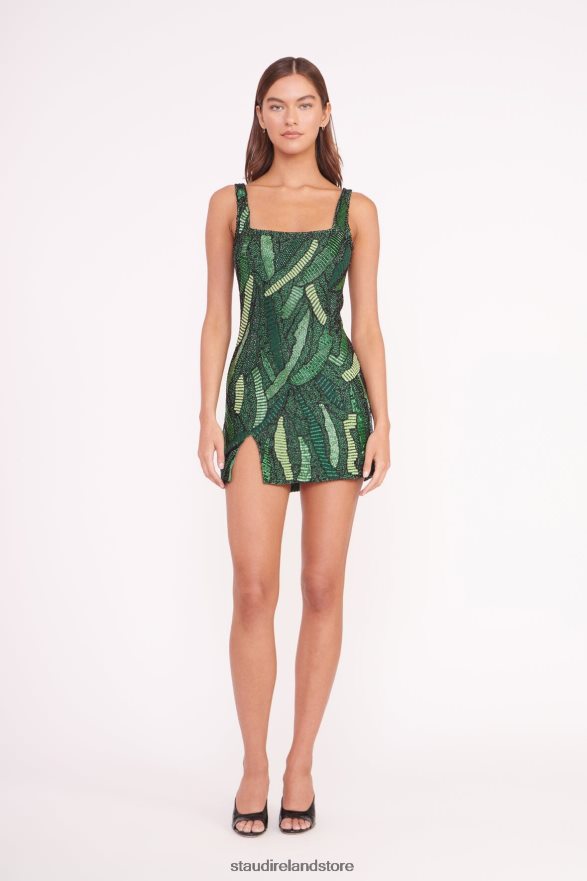Green Palm